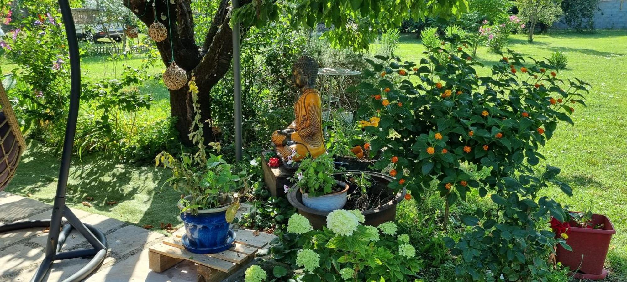 L'orchidée Séjour chez l'habitant *