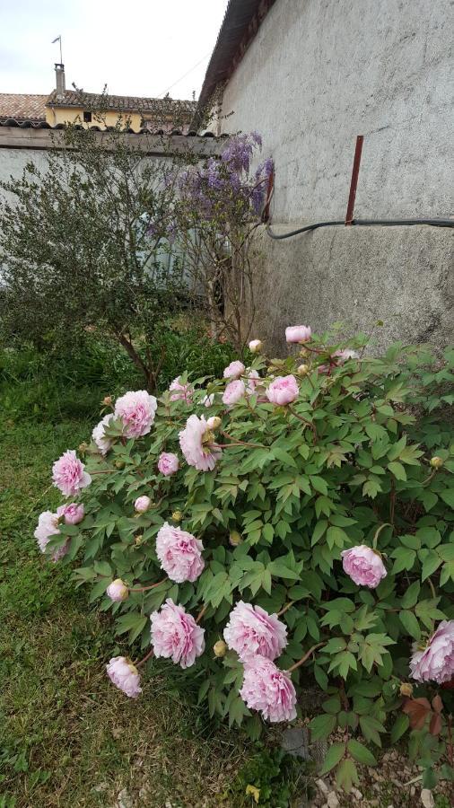 Séjour chez l'habitant L'orchidée