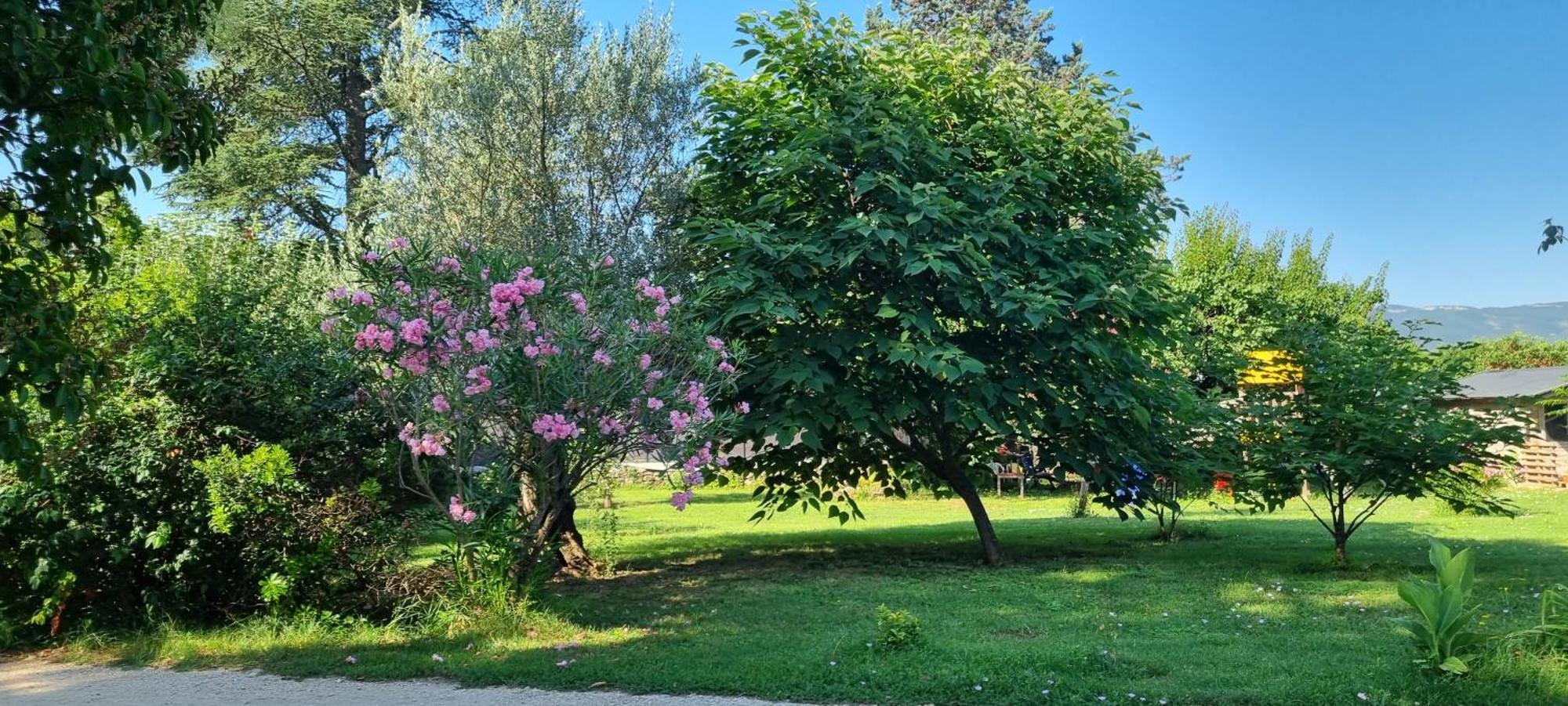L'orchidee Homestay Vallon-Pont-d'Arc